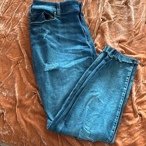 Lane Bryant pants size 18p